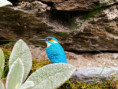 /album/fotogalerie-moje-outside-prace-/martinh-collection-outdoor-08-25-12-jpg/